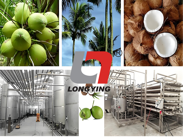 果汁飲料生產(chǎn)線(xiàn)